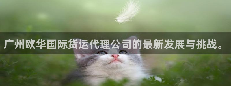 数字钱包okpay：广州欧华国际货运代理公司的最新发展与