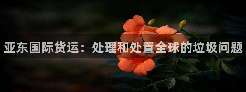 okpay钱包下载安卓版：亚东国际货运：处理和处置全球的