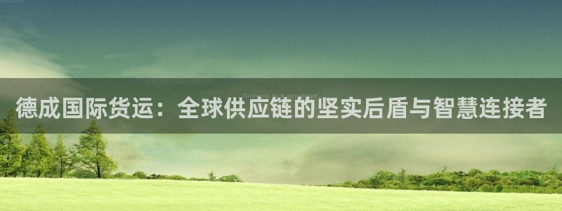 okpay钱包安全可靠吗：德成国际货运：全球供应链的坚实
