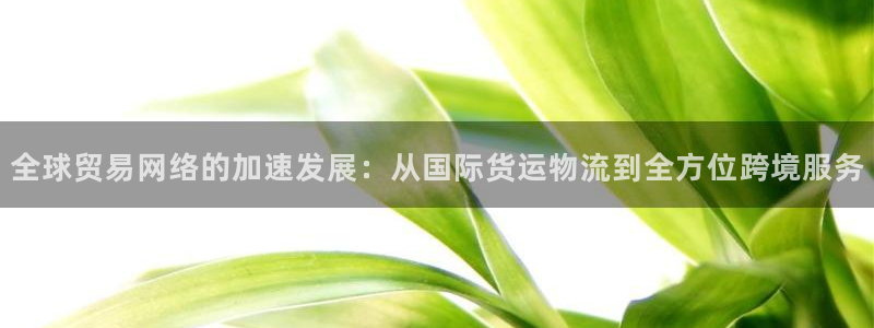 okpay钱包是哪个国家的：全球贸易网络的加速发展：从国