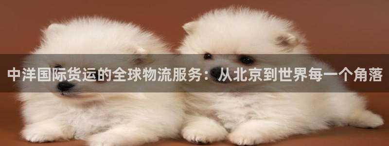 okpay钱包怎么提现：中洋国际货运的全球物流服务：从北