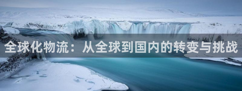 okpay钱包下载：全球化物流：从全球到国内的转变与挑战