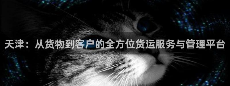 okpay钱包充值：天津：从货物到客户的全方位货运服务与