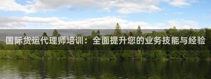 okpay钱包数字货币：国际货运代理师培训：全面提升您的