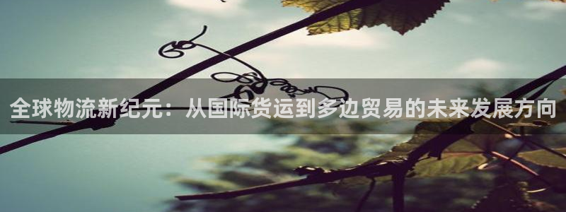 okpay钱包官网版：全球物流新纪元：从国际货运到多边贸