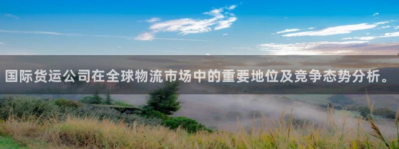 okpay钱包手机版：国际货运公司在全球物流市场中的重要
