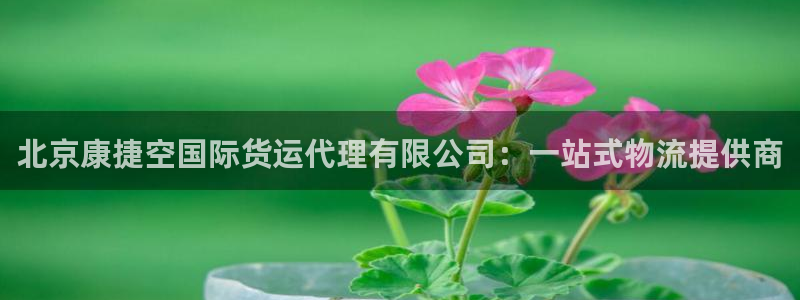 okpay钱包官网：北京康捷空国际货运代理有限公司：一站