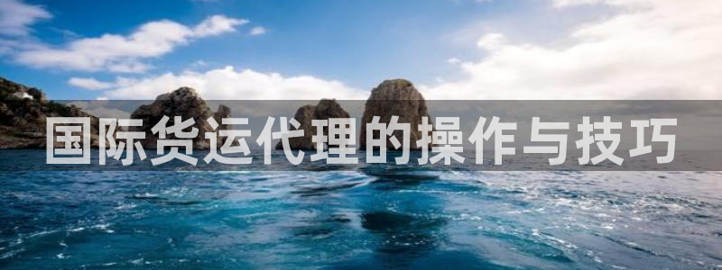 okpay钱包最新版下载：国际货运代理的操作与技巧