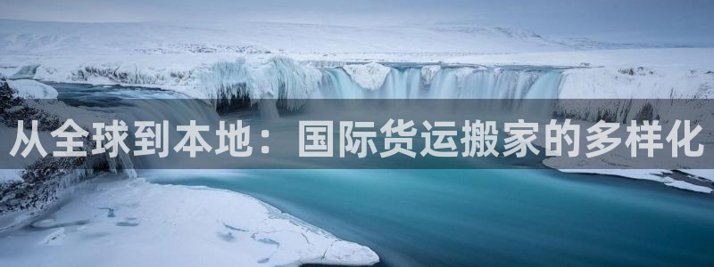 okpay是哪个国家的钱包：从全球到本地：国际货运搬家的