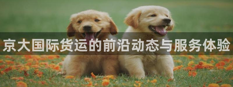 okpay钱包是合法的吗：京大国际货运的前沿动态与服务体