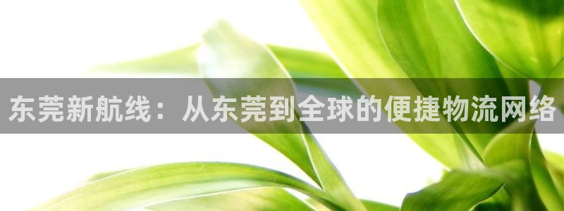 okpay钱包最新版支付下载：东莞新航线：从东莞到全球的