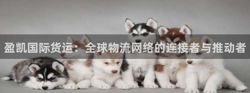 okpay钱包正规吗：盈凯国际货运：全球物流网络的连接者